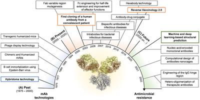 A new dawn for monoclonal antibodies against antimicrobial resistant bacteria